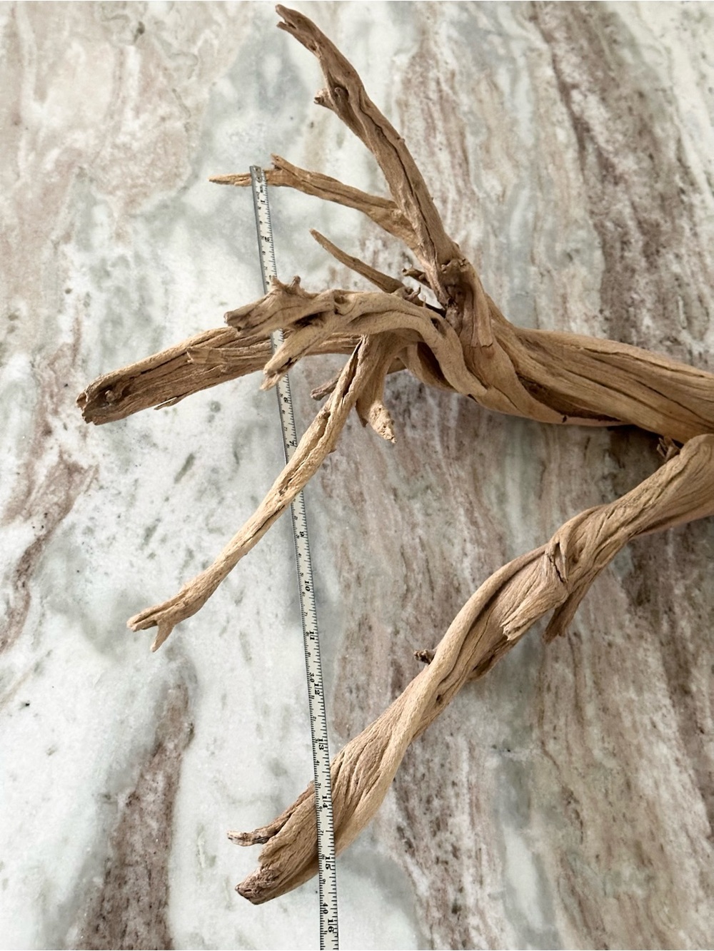 Large Natural Driftwood Branch - Coastal Beach Decor - Picture 15 of 17